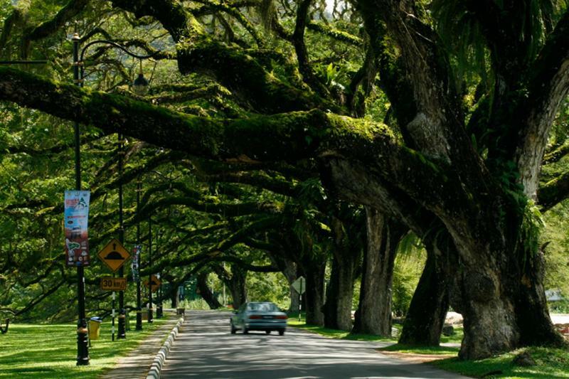 Pearl Inn Plt Taiping Dış mekan fotoğraf